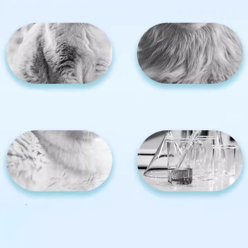 LumaPaw™ Instant Foam — Effortless Freshness and Soothing Comfort for Happy, Touchably Soft Pets