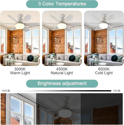 BreezeLume™ — Transform Small Spaces into Peaceful, Perfectly Lit Comfort Zones