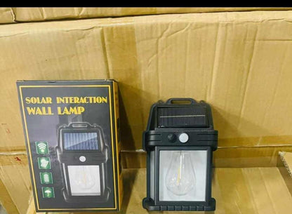 RadiLux™ — Transform Your Outdoors with Effortless, Storm-Proof Solar Glow