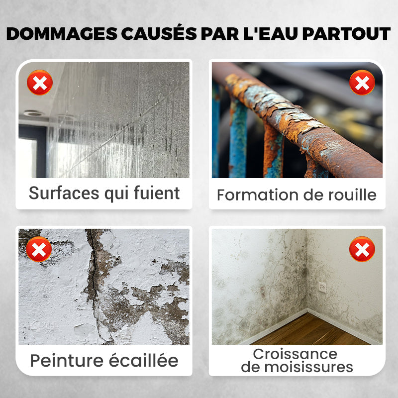 HydroFortis™ — Turn Any Surface into an Unbreakable Shield Against Water Damage
