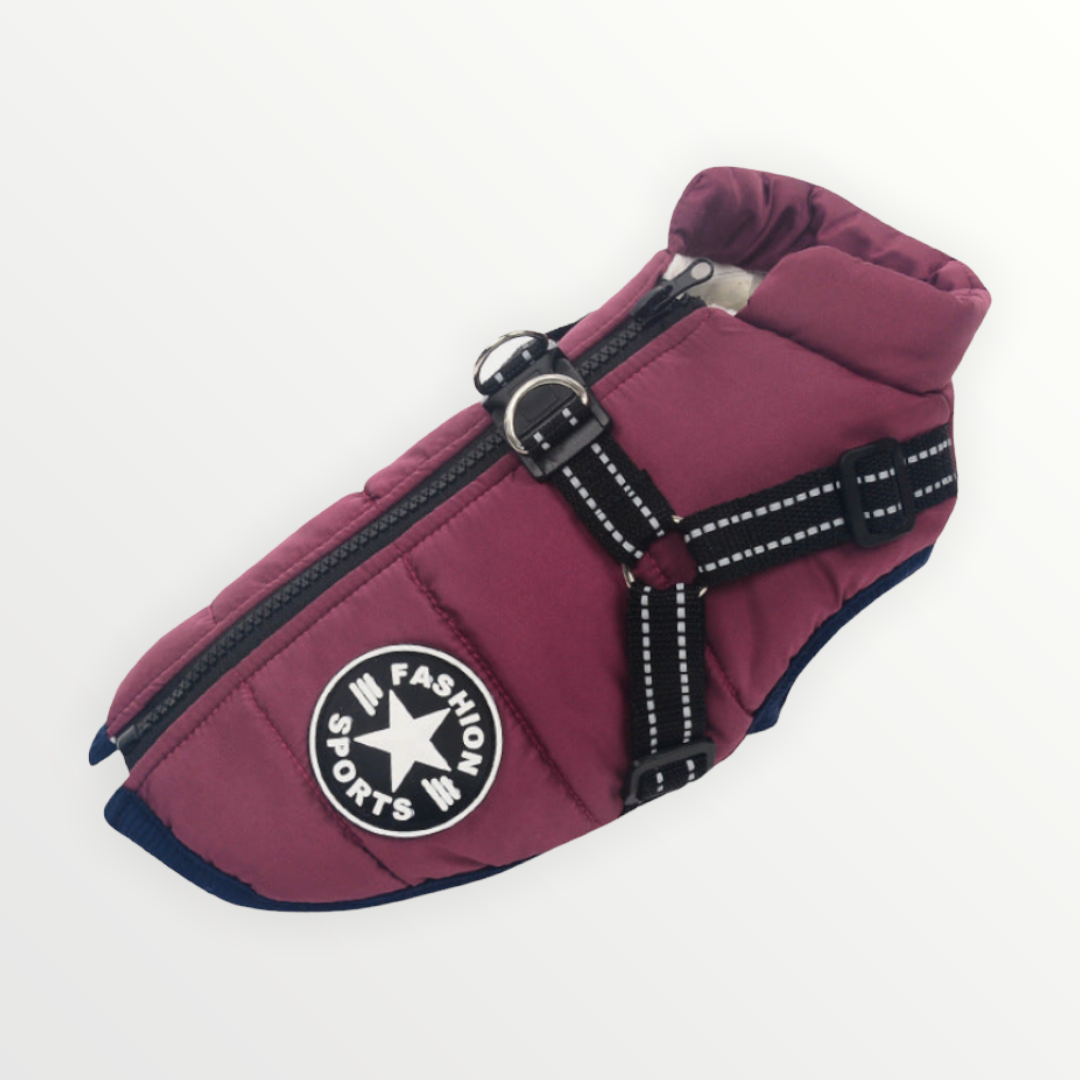 BraveTail™ Weather Jacket — Wrap Your Dog in Cozy Warmth and Effortless Control, Rain or Shine