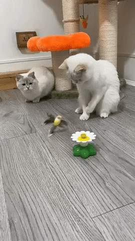 PetJoy® Electric Bird Toy for Cats – Encourages Play, Exercise, and Joy!