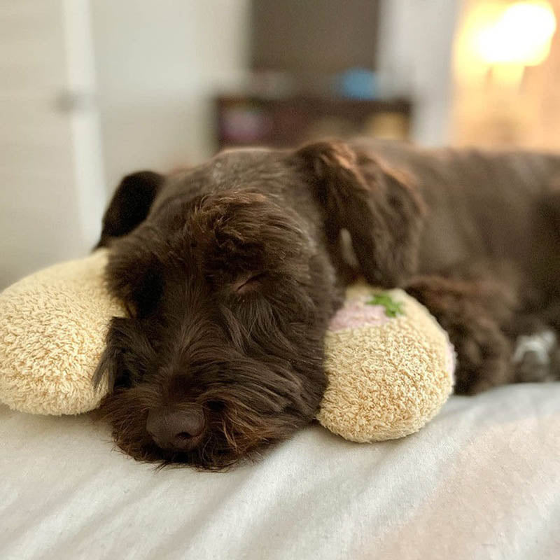 SereneRest™ — The Ultimate Calm Haven for Happy, Pain-Free Dogs