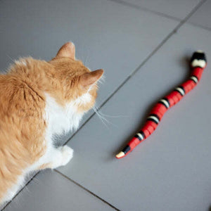 SlitherPaws™ — Unleash Your Cat’s Wild Chase and Endless Energy
