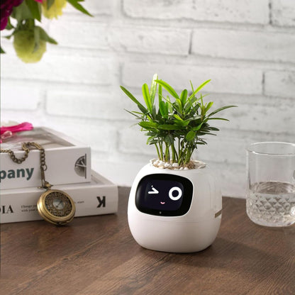 BloomBot™ | Intelligent Plant Pot