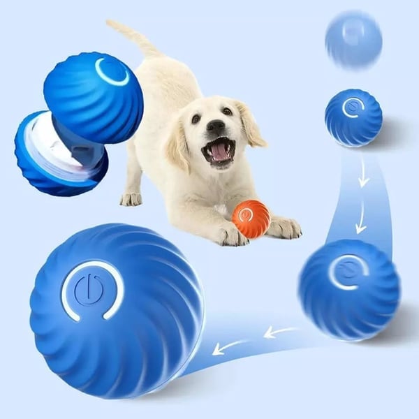 SparkTail™ — Ignite Your Dog’s Wild Instincts with Endless Thrills and Nonstop Fun