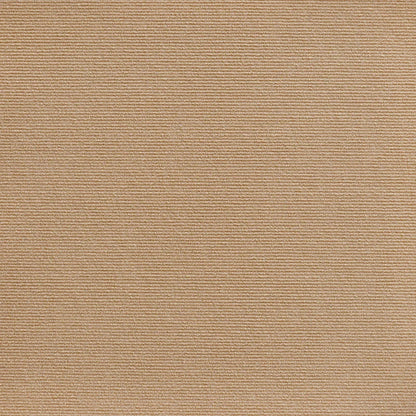 PetArmor™ — Shield Your Furniture and Enjoy Scratch-Free Serenity Every Day