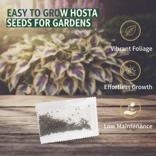 ShadeBloom™ — Transform Shadowy Corners into Vibrant, Lush Garden Magic