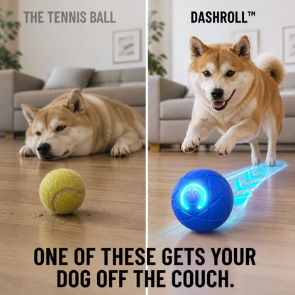 DashRoll™ — Tire Out Your Dog’s Energy Hands-Free While You Work