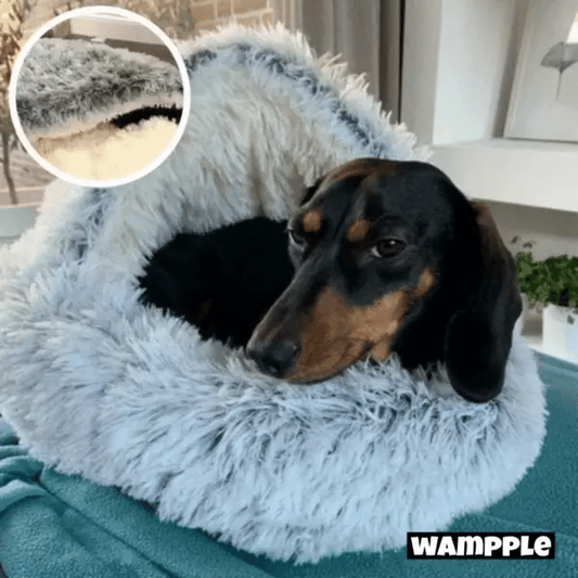 DreamCozy™ — Cradle Your Pet in Ultimate Comfort | 50% Off