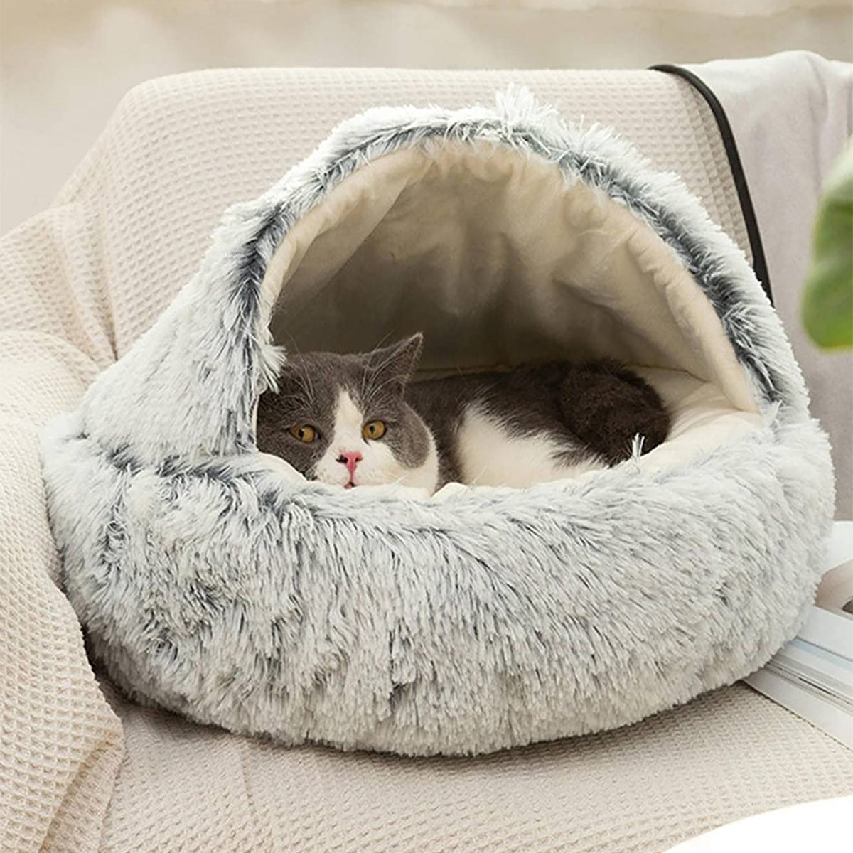 Snugpaws™ — Cozy Calm for Anxious Pets | 50% Off
