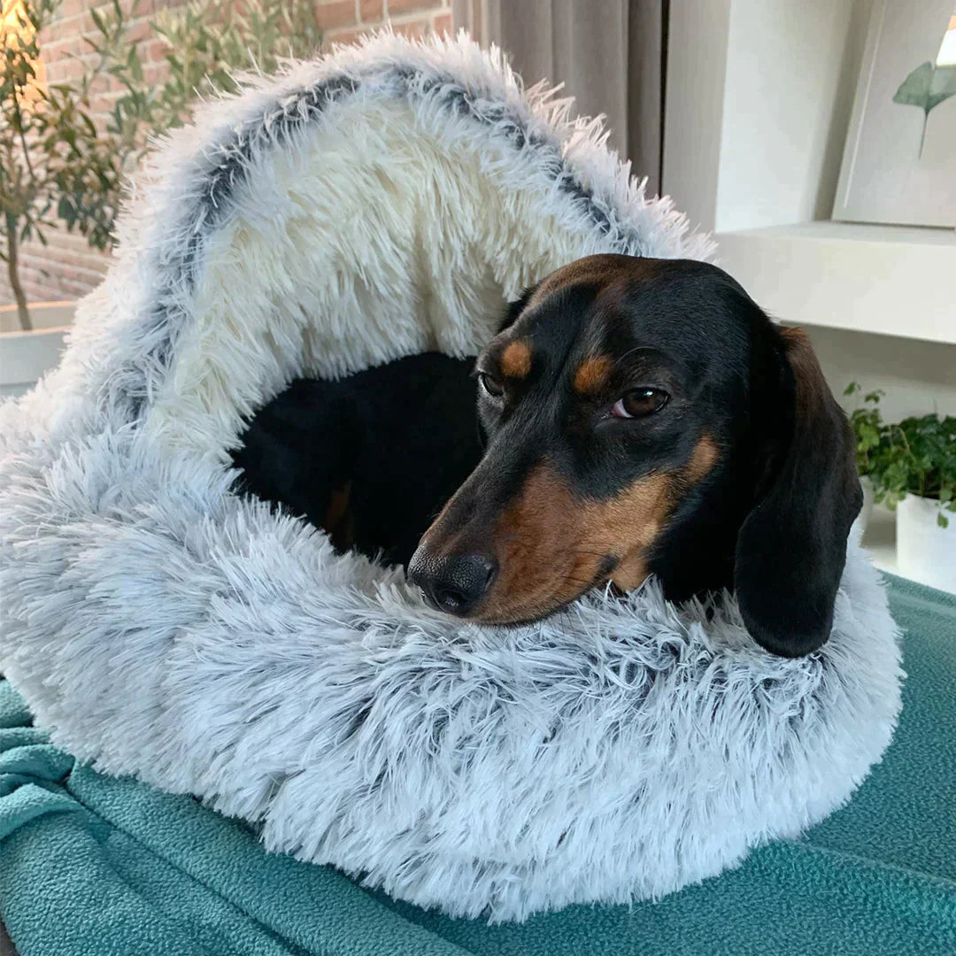 CozyPaws | Stress Relief Pet Bed