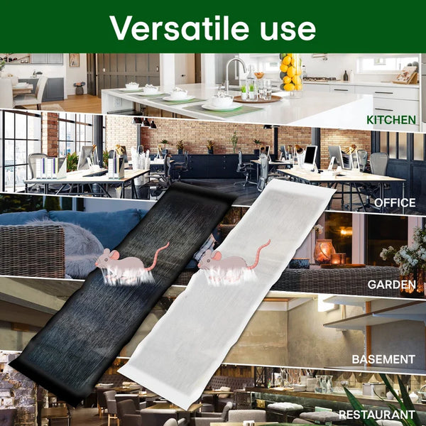 Extra-large adhesive mousetrap