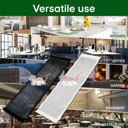 Extra-large adhesive mousetrap